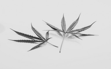 Детоксикация от наркотиков в Плесецке